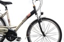 Міський велосипед Batavus Compass 28&quot; M/53 бежево-чорний
