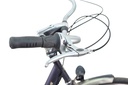Велосипед BATAVUS VERONA 28&quot; L бронзово-фіолетовий Б/В