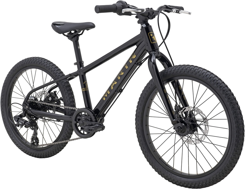 Велосипед 20" Marin BAYVIEW TRAIL 2026 Black Gold