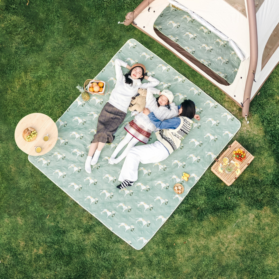 Килимок для пікніка Naturehike CNK2350WS010 170*200 см, блакитний із принтом