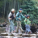 Трекінгова палиця 3-сек. Naturehike CNK2550DS010, 55-120 см, алюміній, зелена