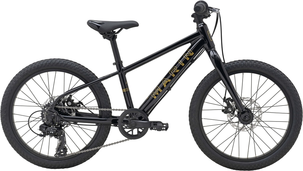 Велосипед 20" Marin BAYVIEW TRAIL 2026 Black Gold