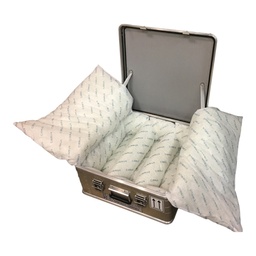 [2100906] Ящик для небезпечних вантажів "Accu Safe"